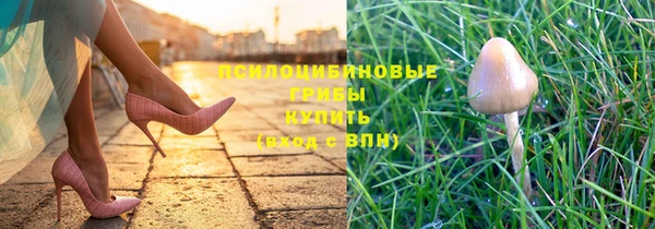 мет Корсаков