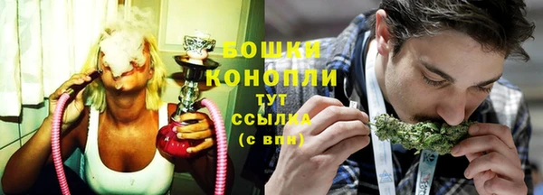 стаф Бердск