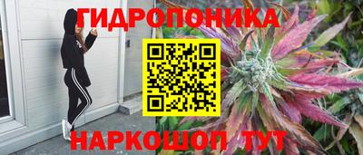 ПСИЛОЦИБИНОВЫЕ ГРИБЫ Будённовск
